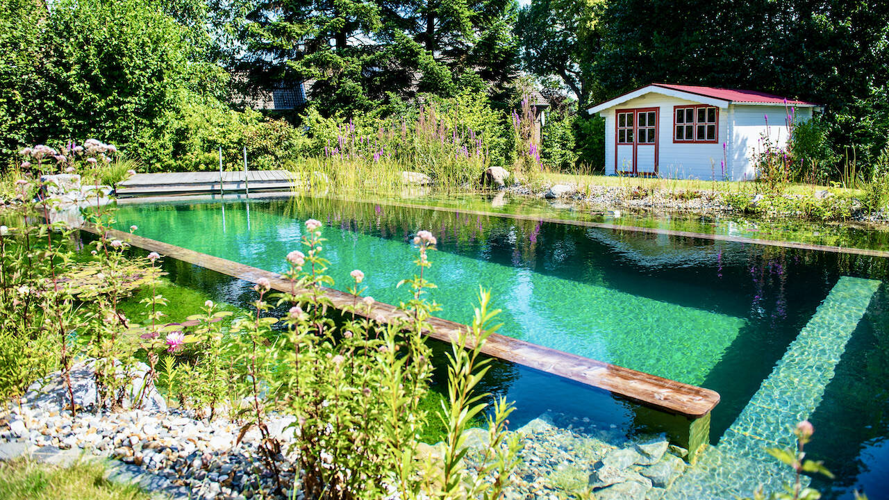 Bassin de baignade naturelle intégré à un jardin paysager